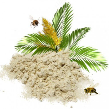 Пальмовая пыльца из Египта 1 кг